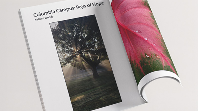 A partially opened book titled Columbia Campus: Rays of Hope by Katrina Woody shows a photo of a sunlit tree and a curled page revealing a close-up of a pink leaf.