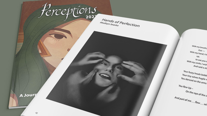 A magazine titled Perceptions 2023 features an illustrated green-haired woman on the cover and a black-and-white portrait called “Hands of Perfection” inside.